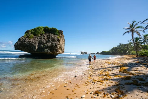 barbados basheba