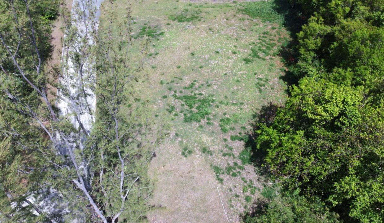 DJI_0132