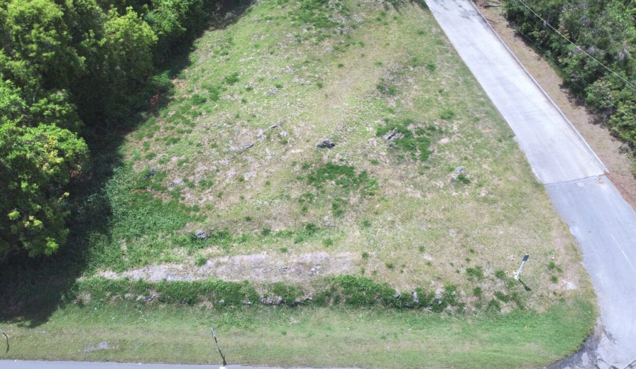 DJI_0154