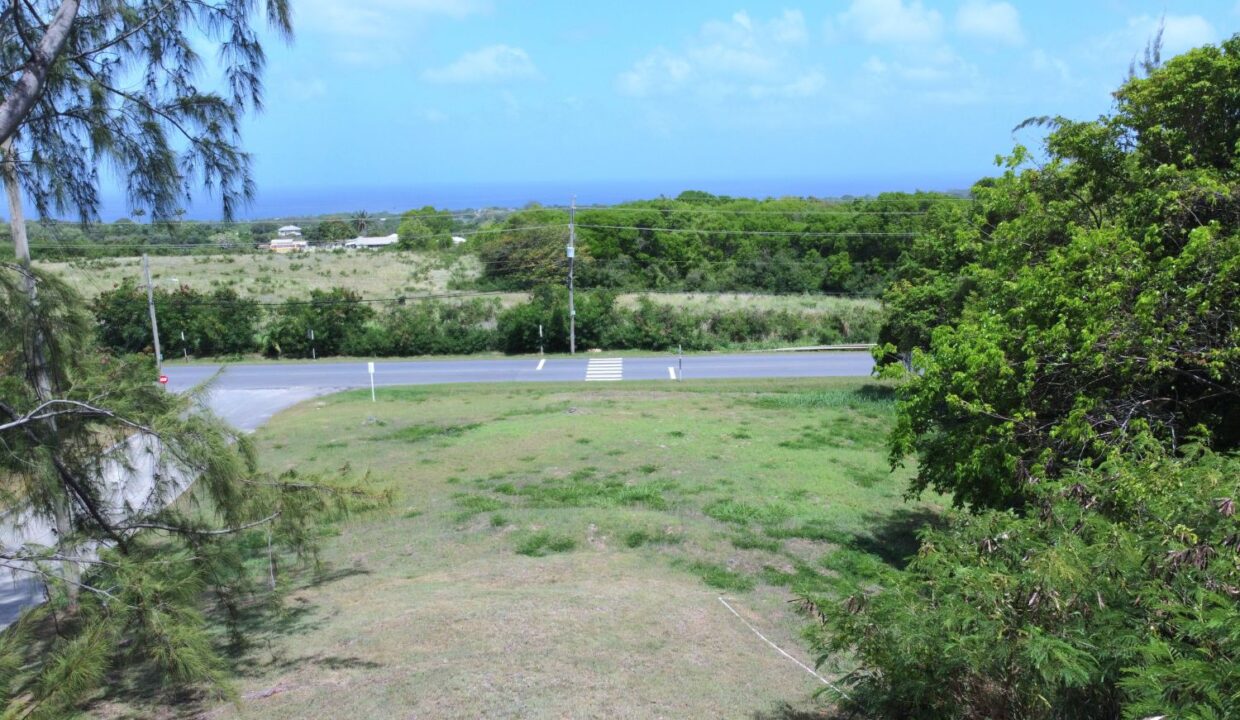DJI_0160
