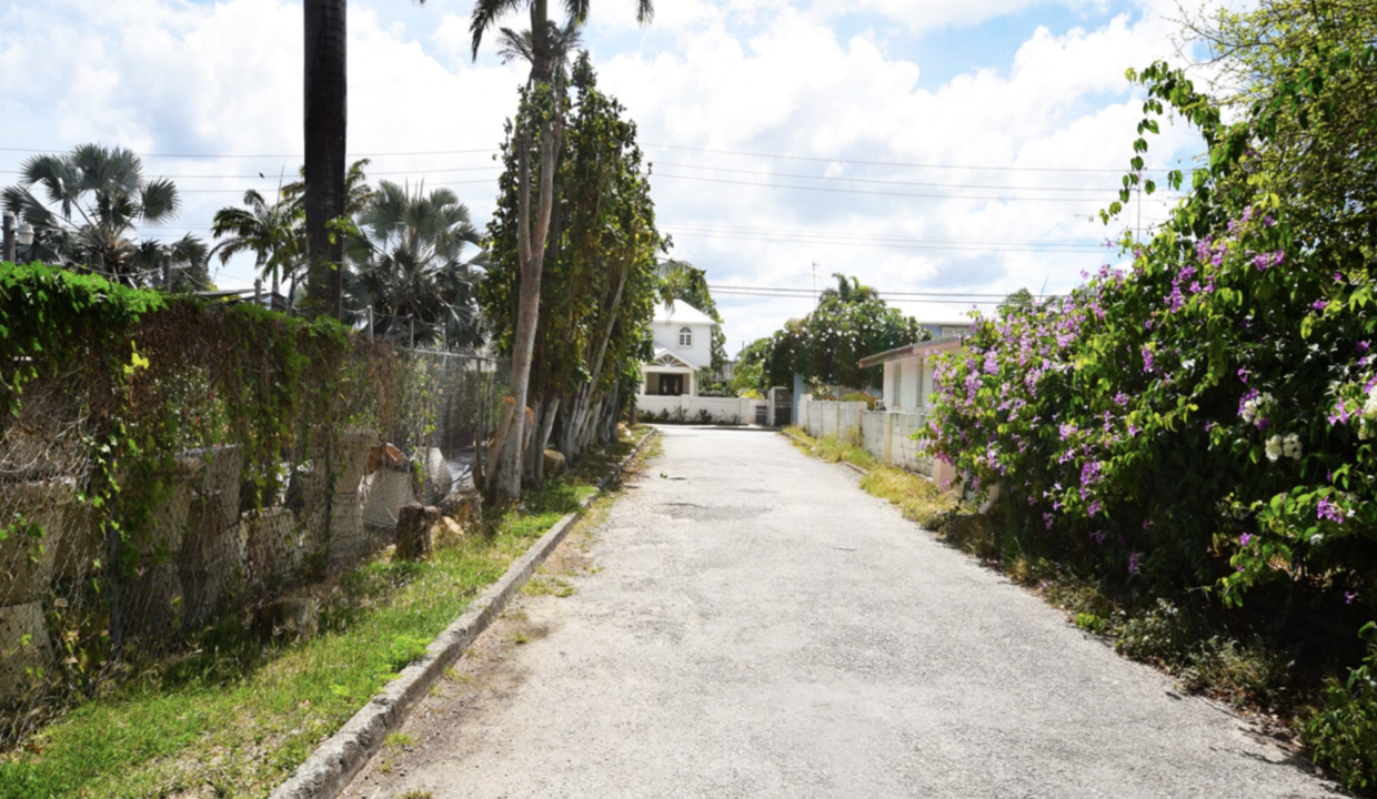 Streetscape of the avenue