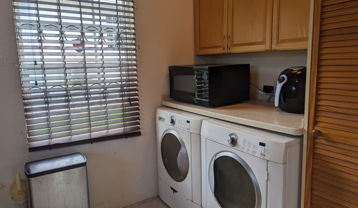 36d64b6c-1fda-46c4-a6a9-e41fb01e7d43