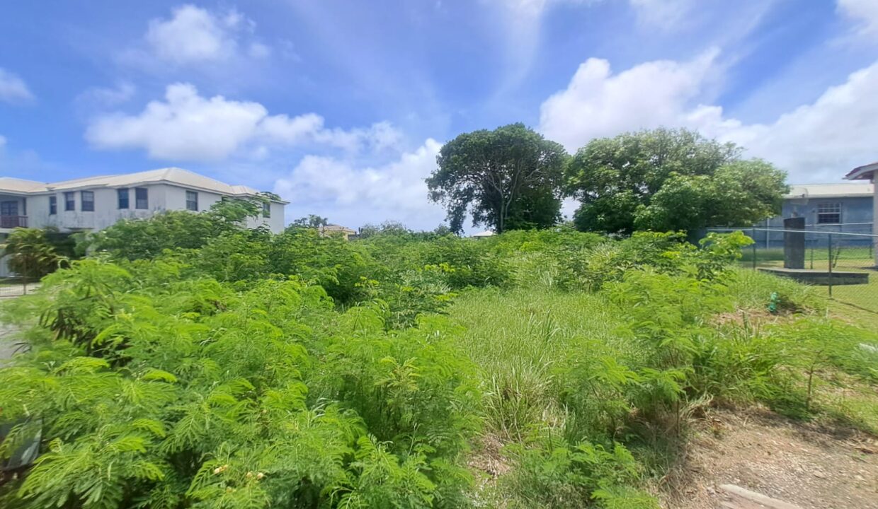 PHOTO-2025-09-29-15-52-16 (2)