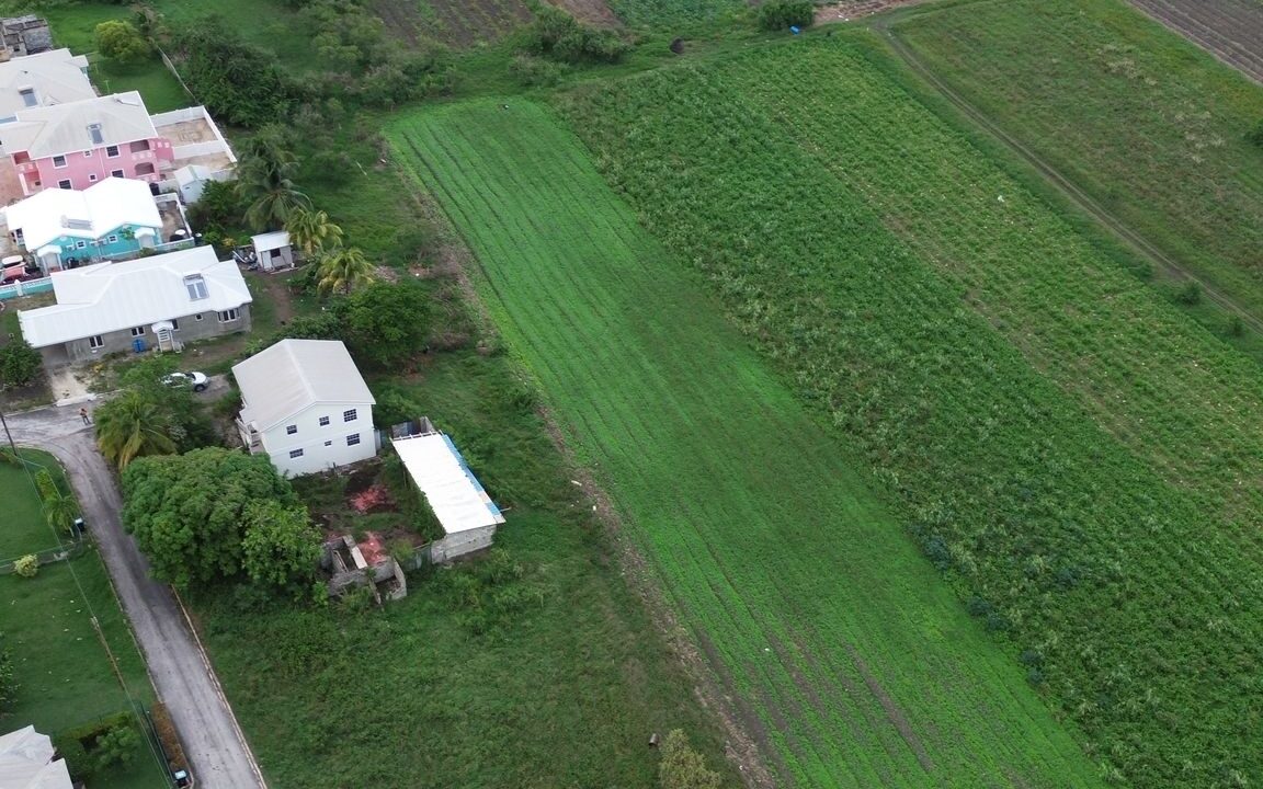 PHOTO-2025-10-20-17-21-17