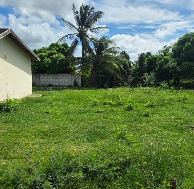 PHOTO-2025-11-25-18-00-58 (1)