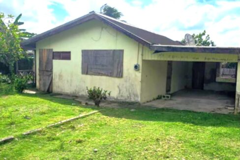 PHOTO 2025 11 25 18 00 59 1