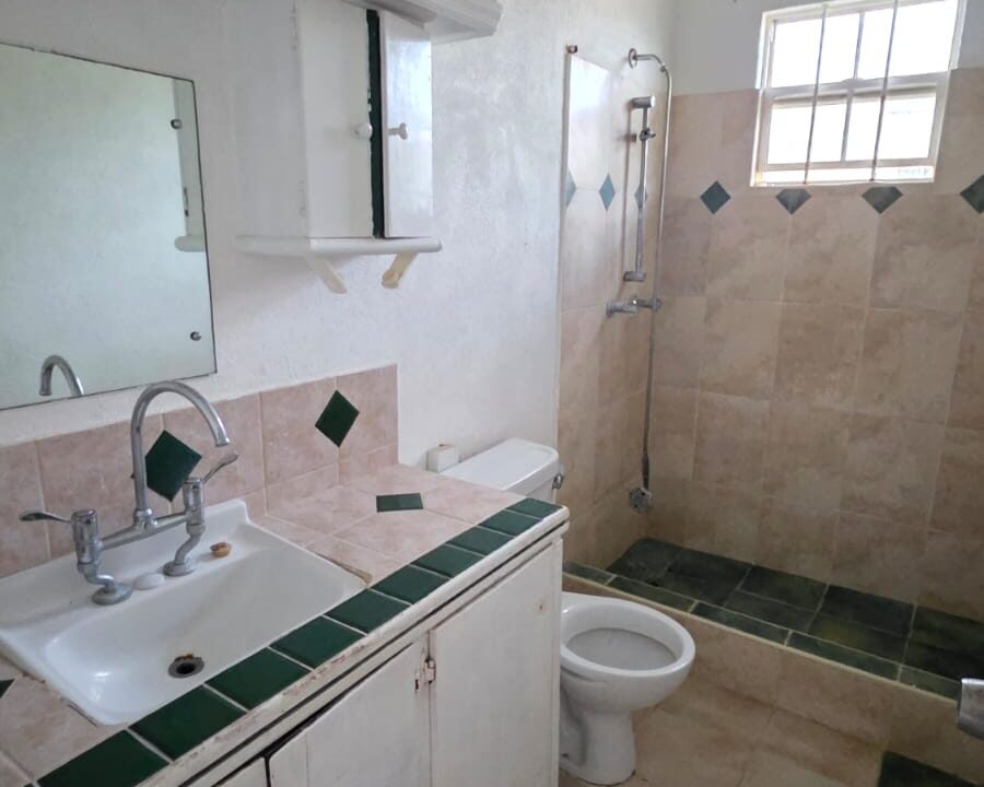 PHOTO-2026-01-14-01-09-12 (1)