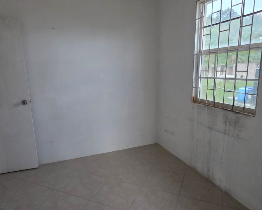 PHOTO-2026-01-14-01-09-12 (3)