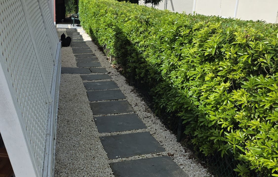 PHOTO-2026-01-23-12-46-10