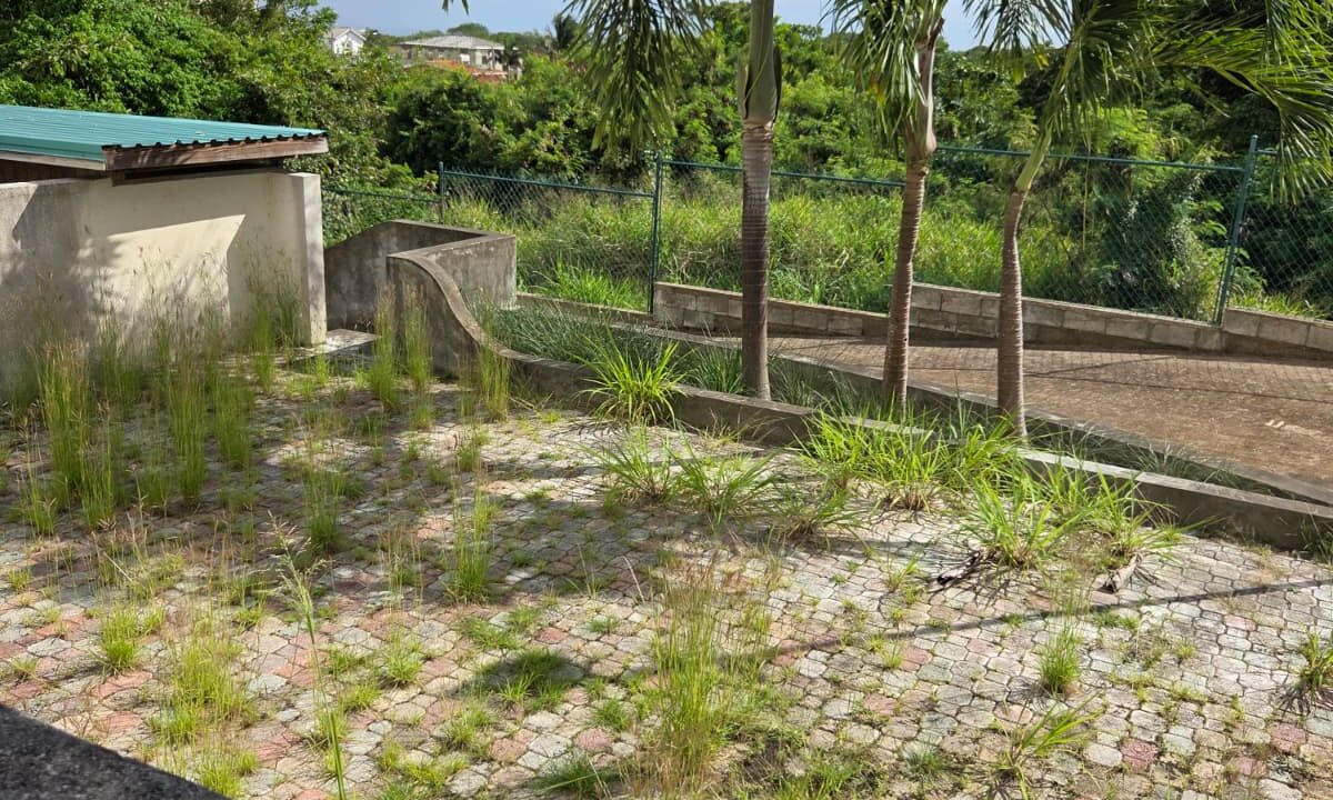 PHOTO-2026-01-24-16-47-33 (2)