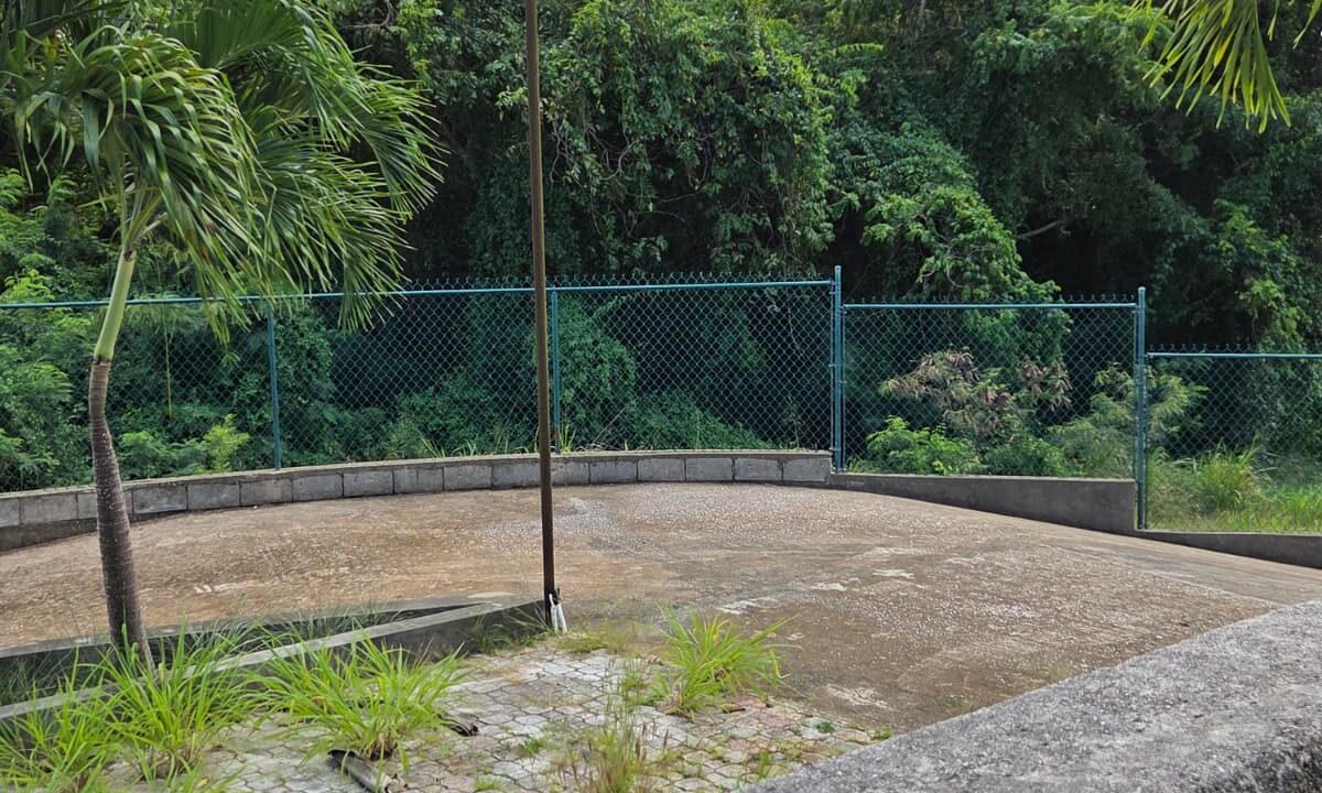 PHOTO-2026-01-24-16-47-35 (3)