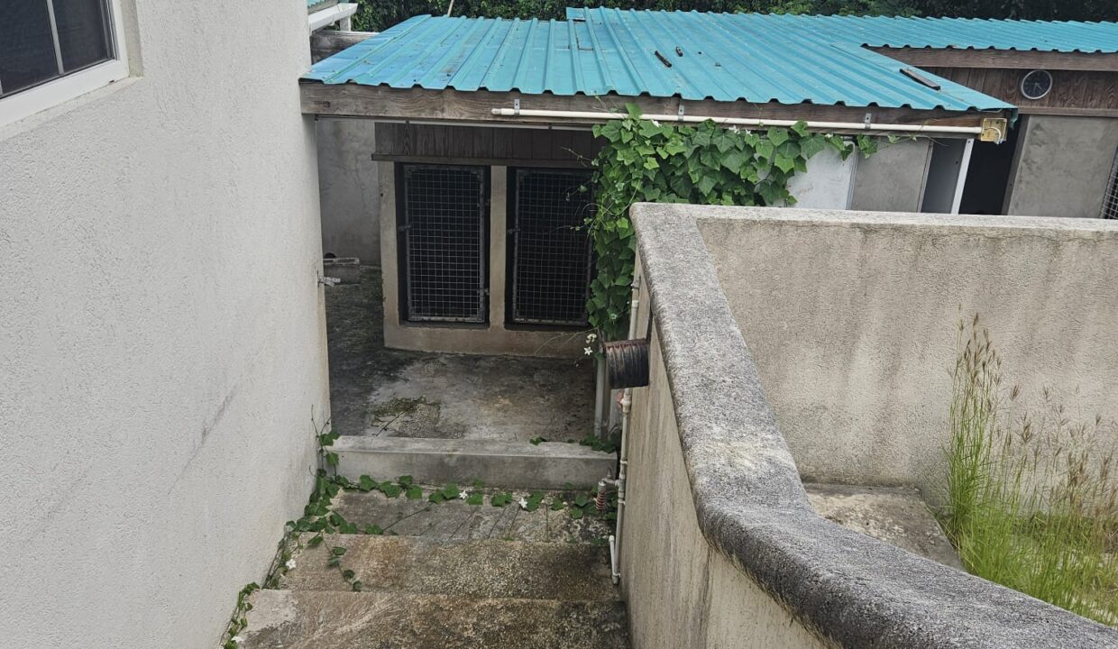 PHOTO-2026-01-24-16-47-36 (3)