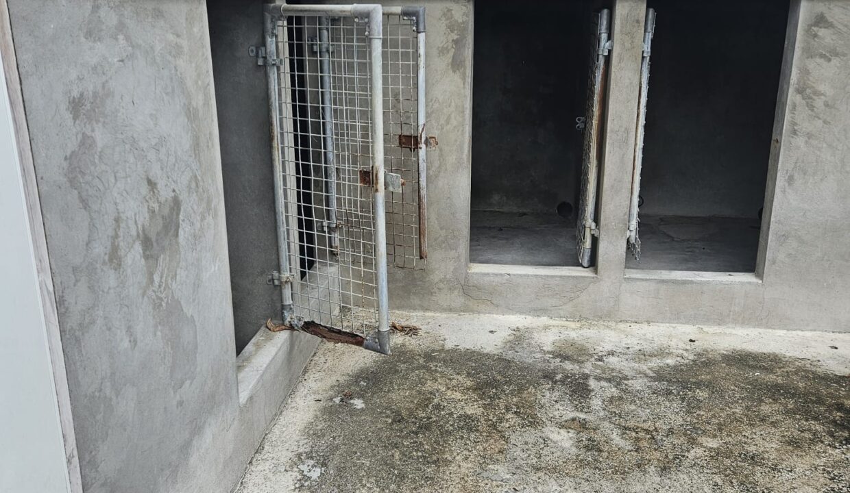 PHOTO-2026-01-24-16-47-36 (4)