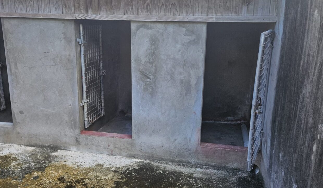 PHOTO-2026-01-24-16-47-37 (1)