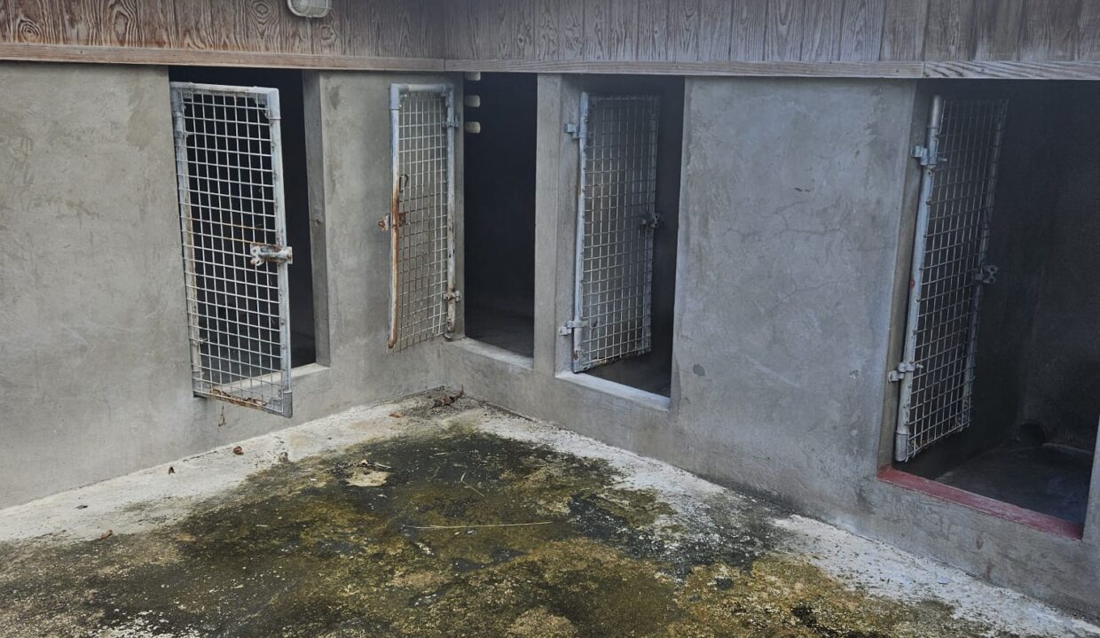 PHOTO-2026-01-24-16-47-37