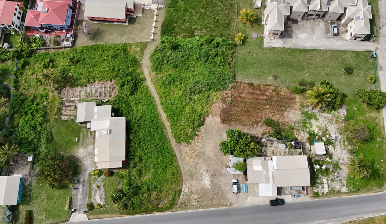 PHOTO-2026-02-17-11-18-24 (1)