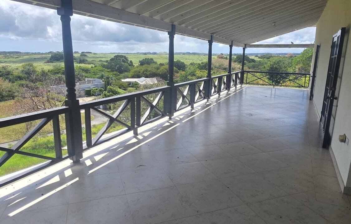 image14 (1)