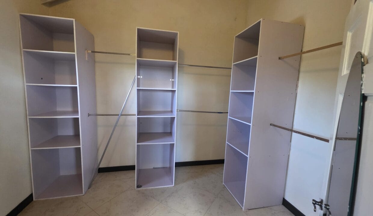 image3 (1)